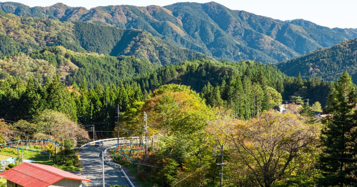 山間のカーブ道と緑の森林風景