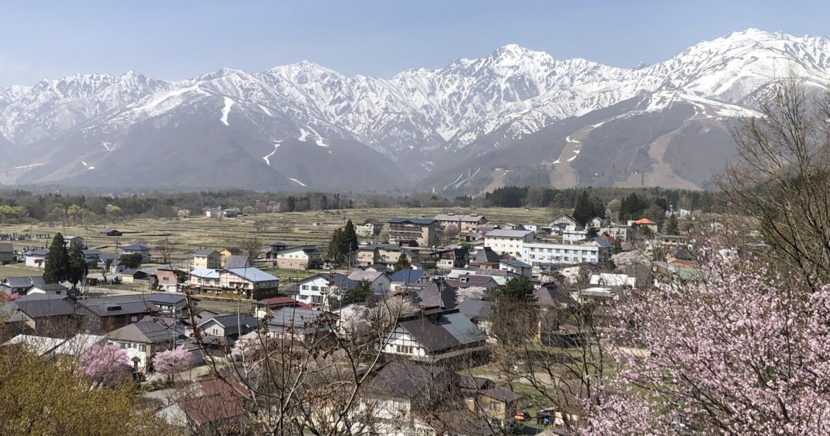 雪山と桜が見える日本の山村風景