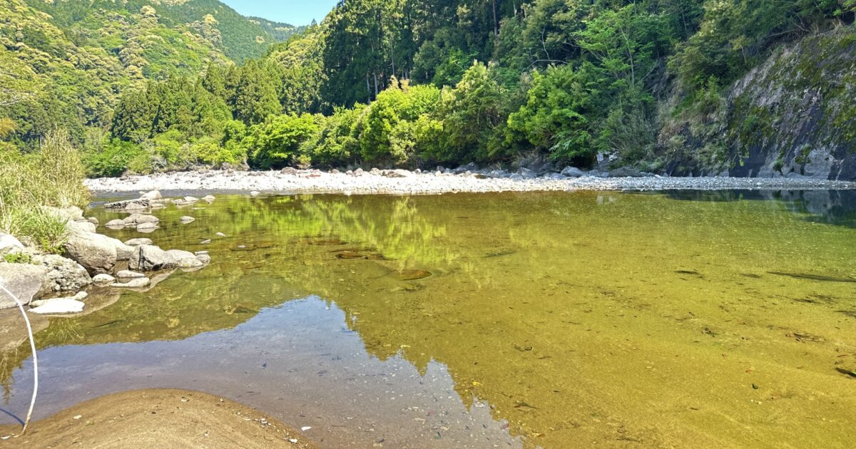 川辺と緑に囲まれた自然豊かな風景