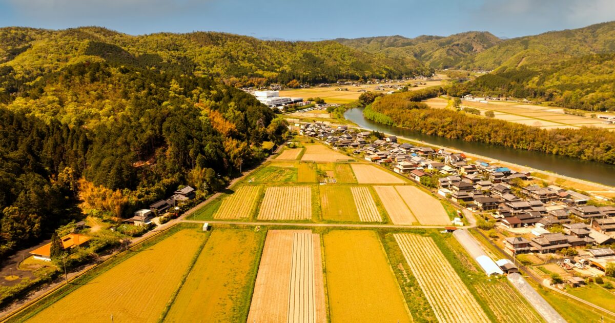 田園と川と集落が広がる日本の空撮風景