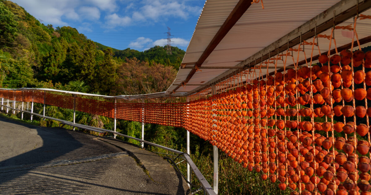 山間部で干し柿が吊るされた風景