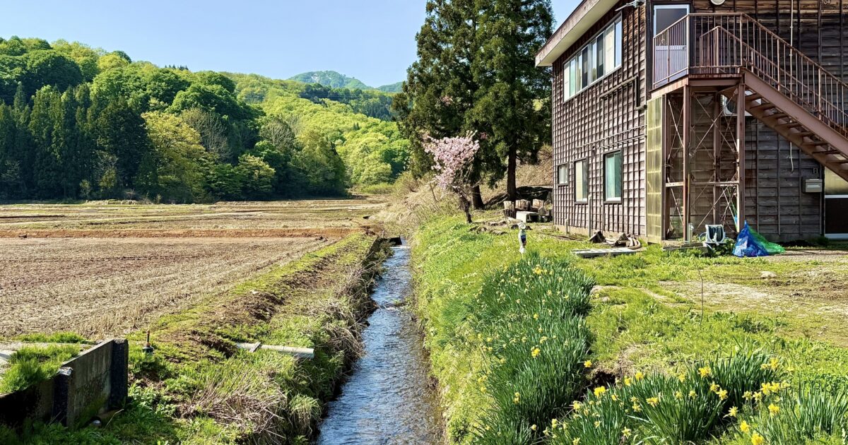 農村の用水路と古民家のある風景
