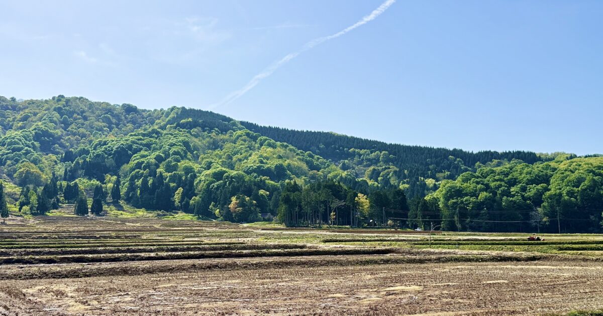 山と新緑に囲まれた農村の風景