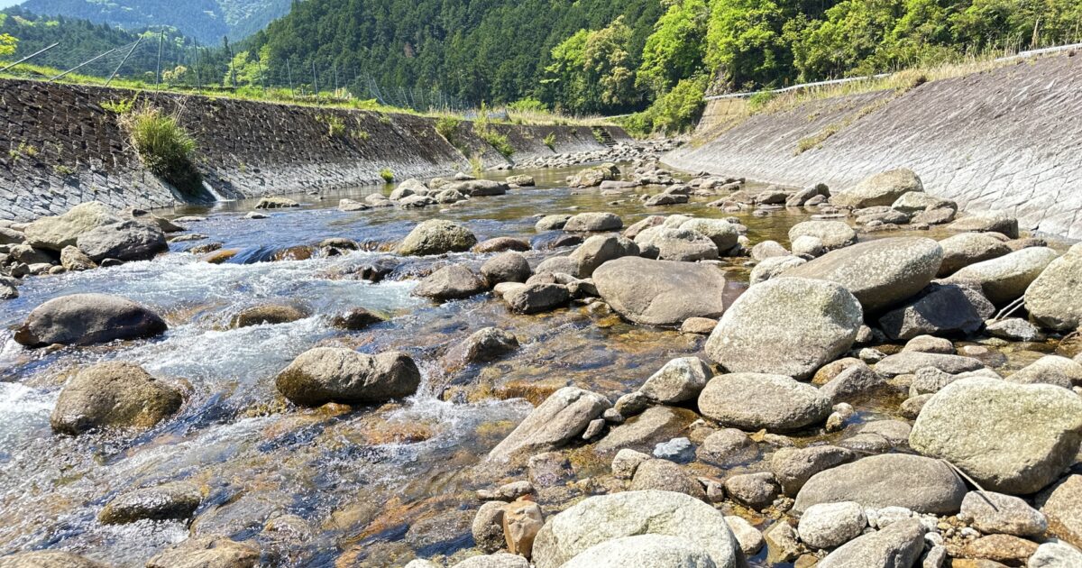 清流と川辺の自然豊かな風景