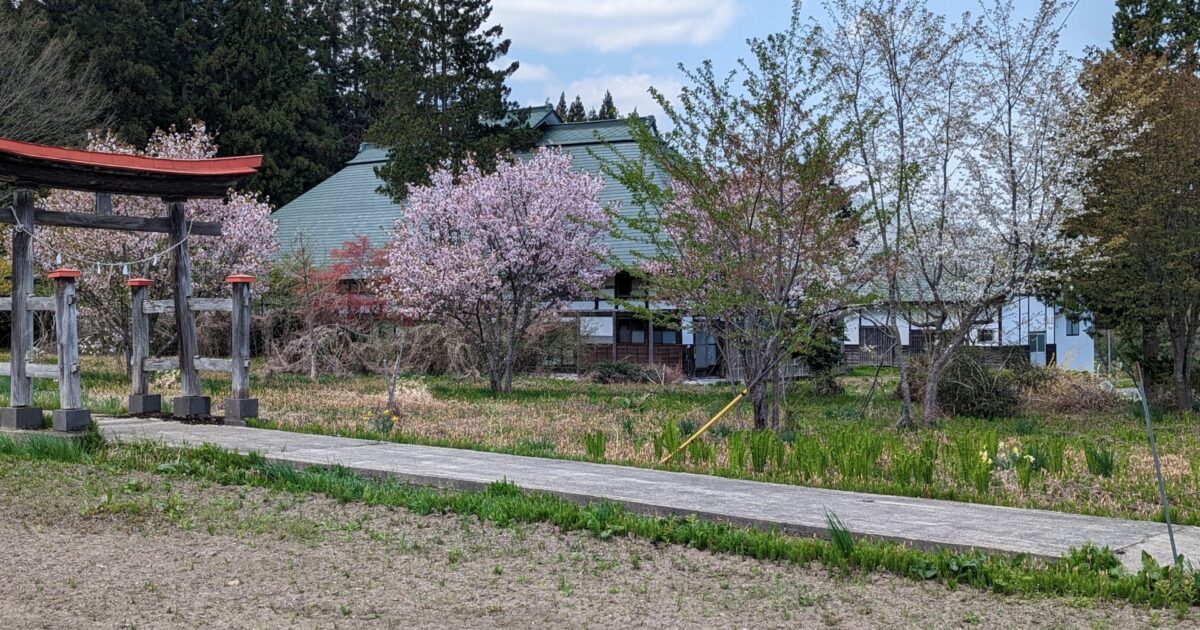 桜と鳥居がある日本の田舎風景