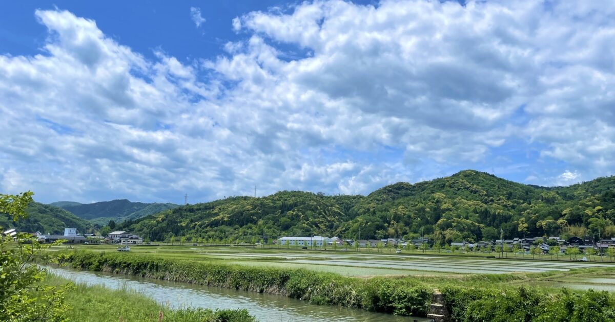 田んぼと小川と山並みが広がる風景
