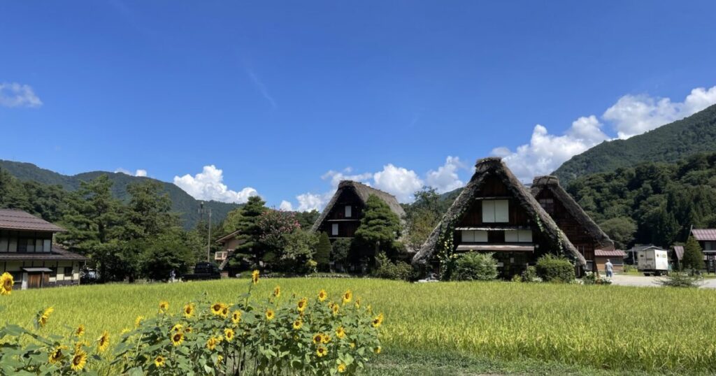 合掌造り集落と田園とひまわり畑