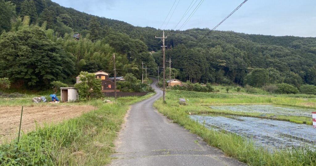 田舎の細道と周囲の田畑の風景