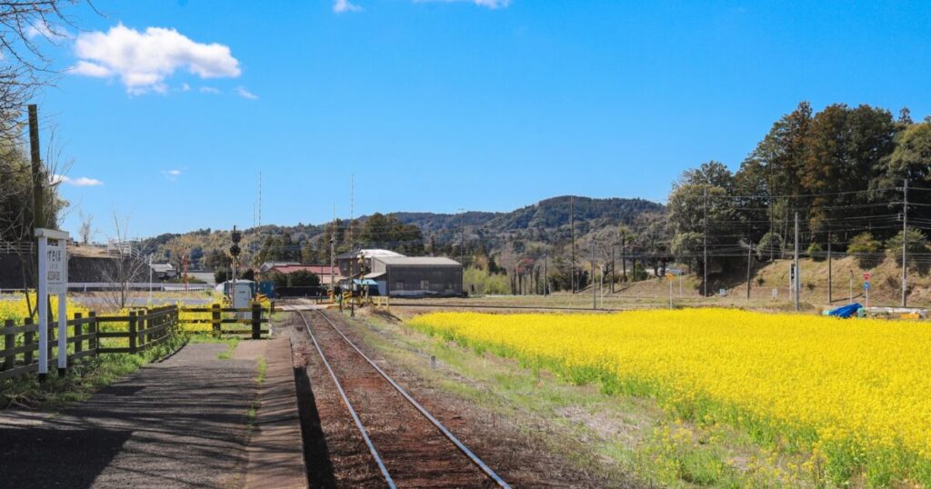 菜の花畑と田舎の駅と線路の風景