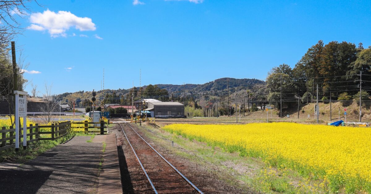 菜の花畑と田舎の駅と線路の風景