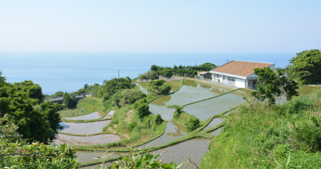 棚田と海が見える日本の田園風景