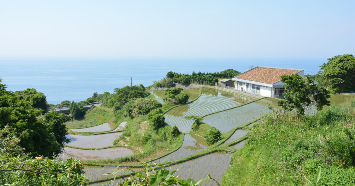 棚田と海が見える日本の田園風景