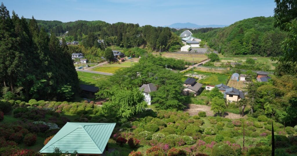 緑豊かな日本の農村と田園風景