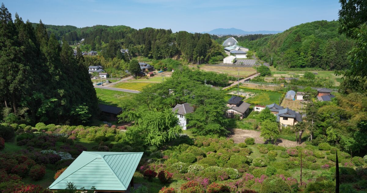 緑豊かな日本の農村と田園風景